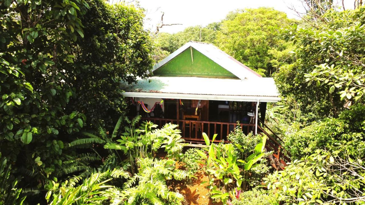 Cabana Ara Macao Lodge Drake Bay Exterior photo